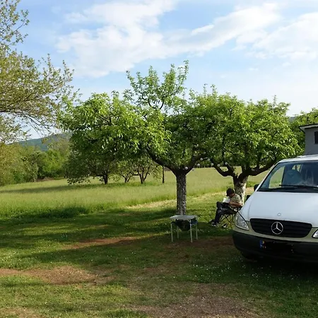 Purple Eye Camp & Winery Camping