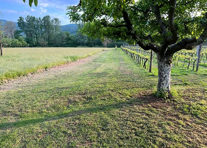 Campingplads Purple Eye Camp & Winery *