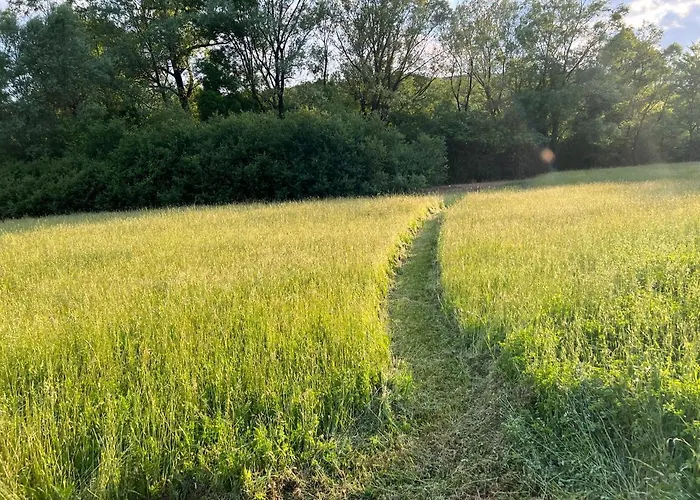 Purple Eye Camp & Winery