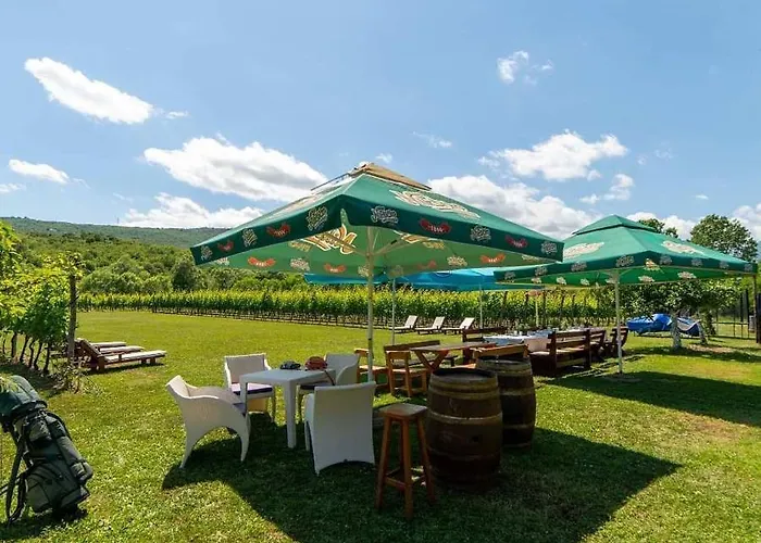 Purple Eye Camp & Winery Podgorica