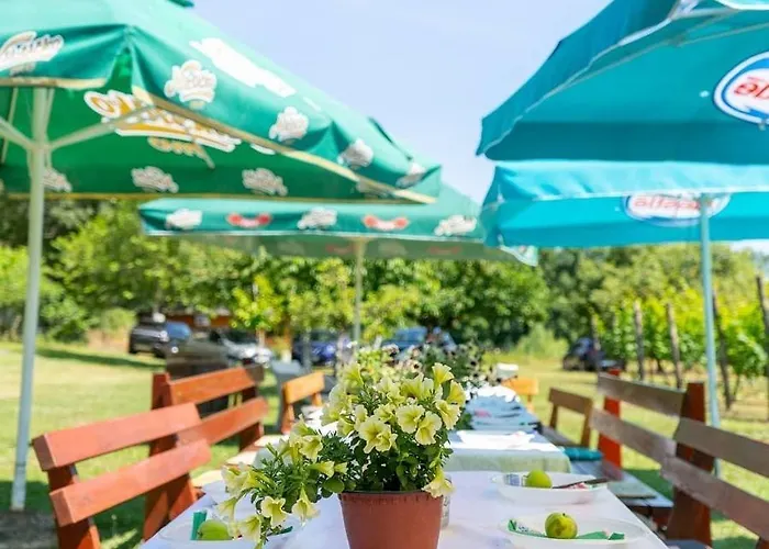 Purple Eye Camp & Winery Campingplads *