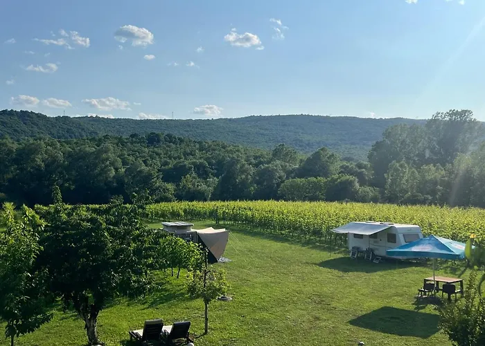 Purple Eye Camp & Winery *