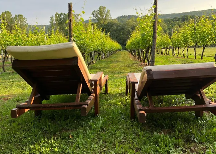 Purple Eye Camp & Winery *