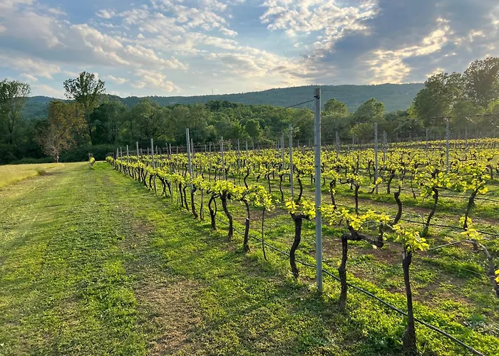 Campingplads Purple Eye Camp & Winery Podgorica