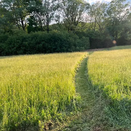 Purple Eye Camp & Winery