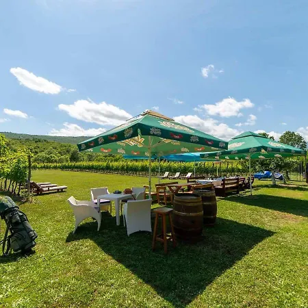 Purple Eye Camp & Winery Podgorica