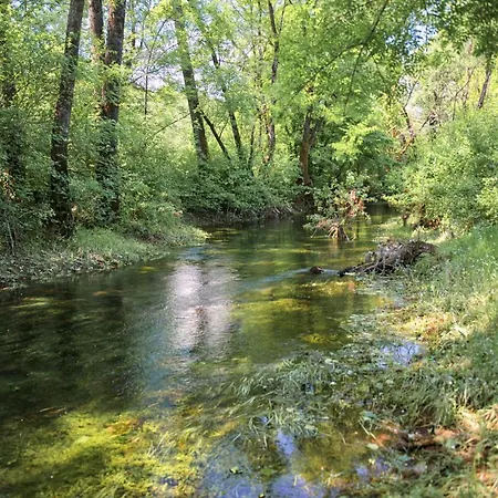 Purple Eye Camp & Winery