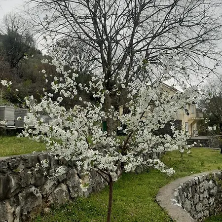 캠프장 Purple Eye Camp & Winery *