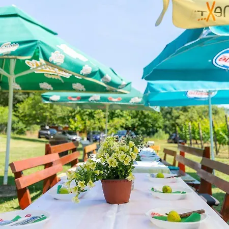 Purple Eye Camp & Winery Camping *