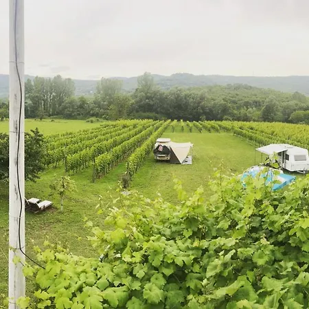 Camping Purple Eye Camp & Winery