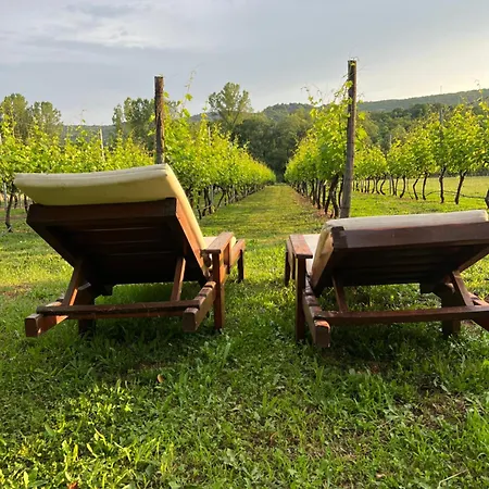 Purple Eye Camp & Winery *