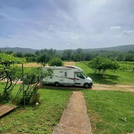 Purple Eye Camp & Winery 캠프장 포드고리차