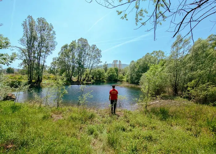 Purple Eye Camp & Winery Camping