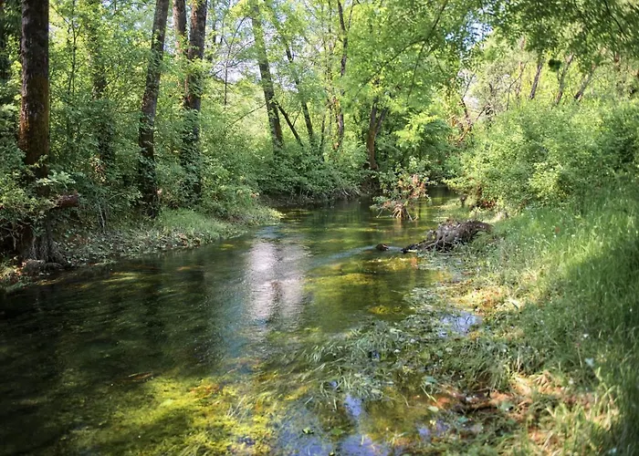 Purple Eye Camp & Winery