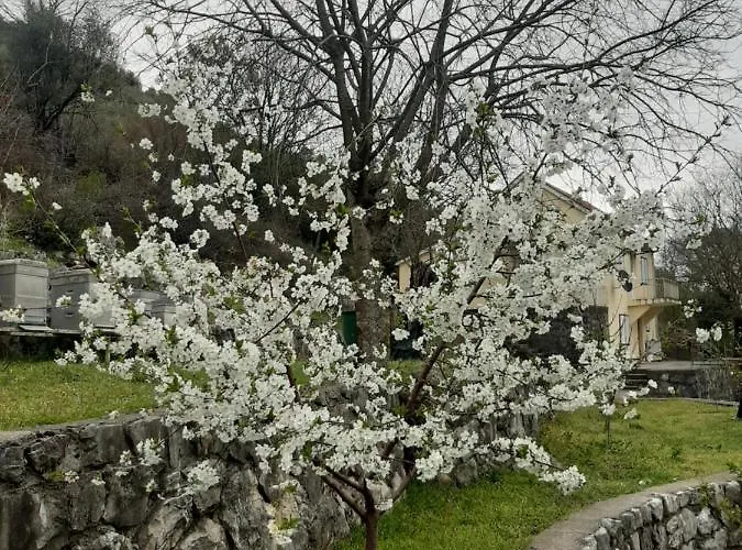 Campsite Purple Eye Camp & Winery *