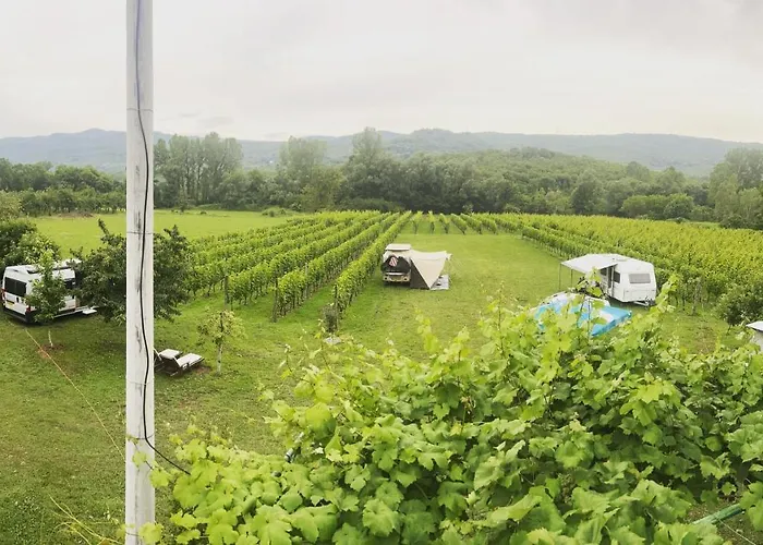 Camping Purple Eye Camp & Winery